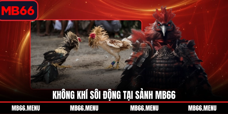 Không khí sôi động tại sảnh MB66